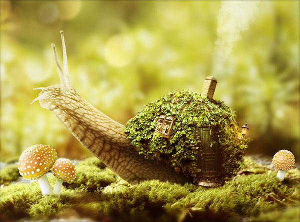 Fantasy-Snail-Photo-Manipulation-With-Adobe-Photoshop
