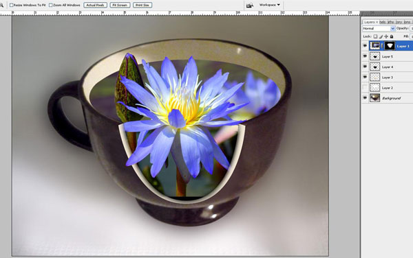 Tạo một bông hoa súng trong một hiệu ứng cốc trong Photoshop 25