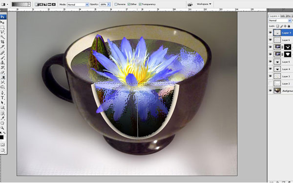 Tạo một bông hoa súng trong một hiệu ứng cốc trong Photoshop 33